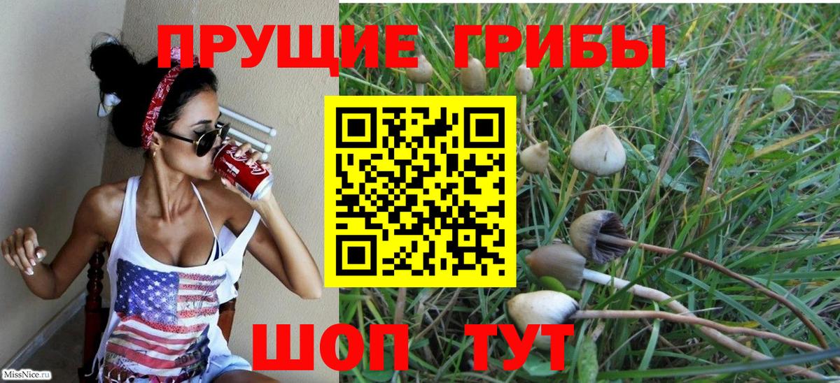 Псилоцибиновые грибы Cubensis Строитель